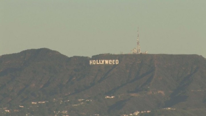 hollyweed
