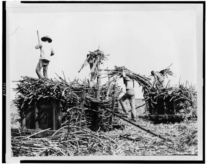 sugar-cane-workers1