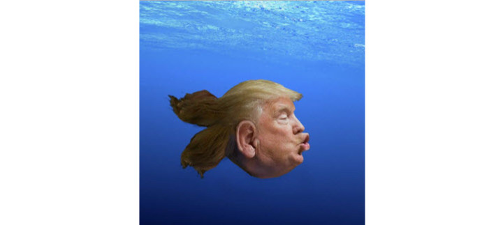 trumpfish