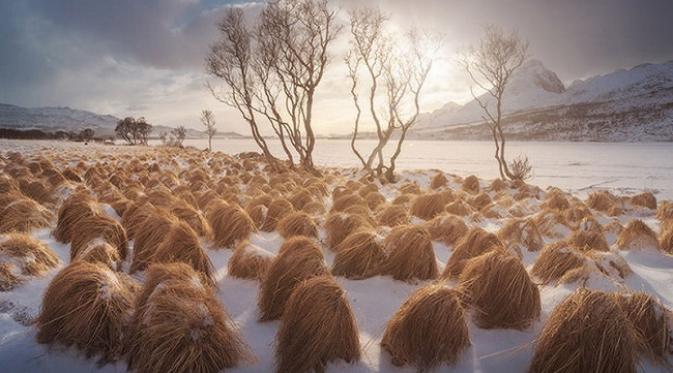 005817700_1461553822-this-is-the-secret-farm-where-donald-trump-grows-his-hair2