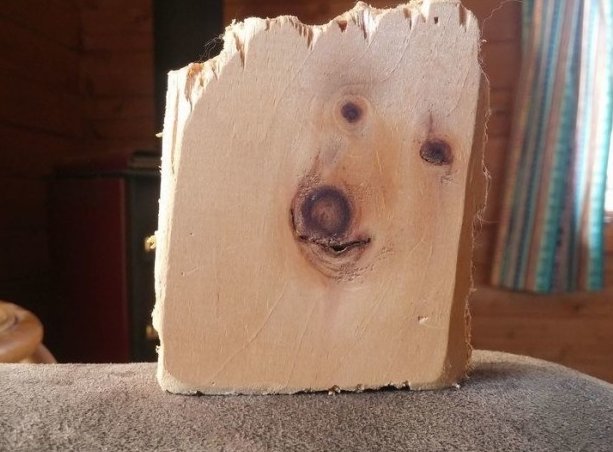 Plank dog