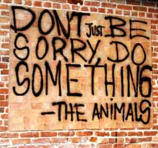 Stop-Animal-Cruelty-Dont-Be-Sorry-Do-Something.jpg