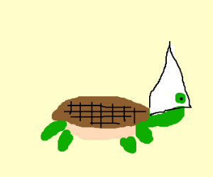 racist_turtle