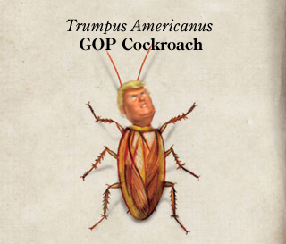 trumpusamericanus