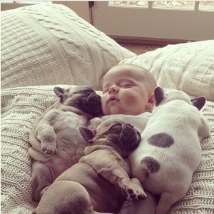 puppies-cuddling-with-baby-300x300
