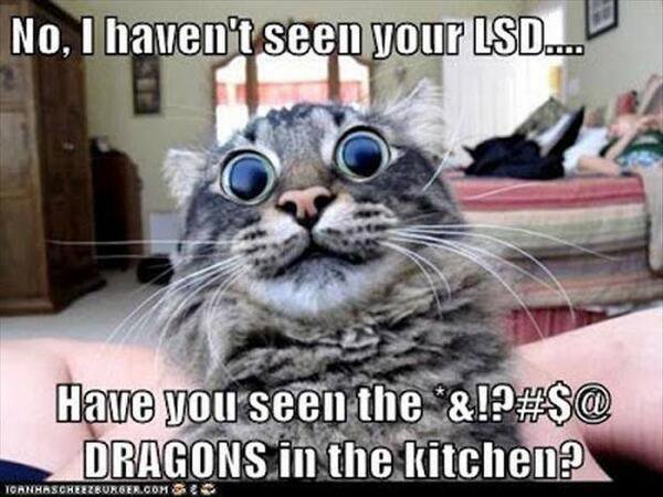 cat acid