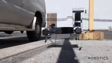 quadroped robot