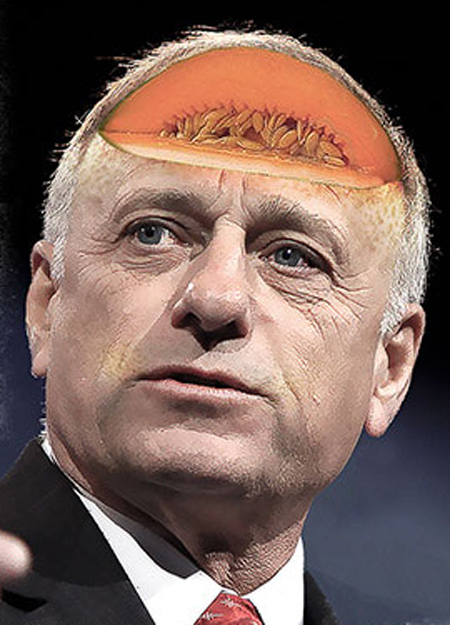 steve-king-cantaloupe