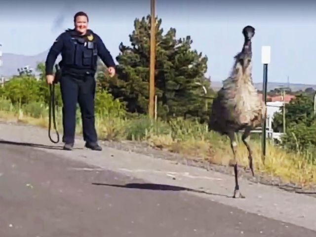 636301273149179683-5