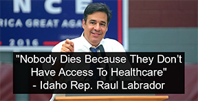 Raul_Labrador_1