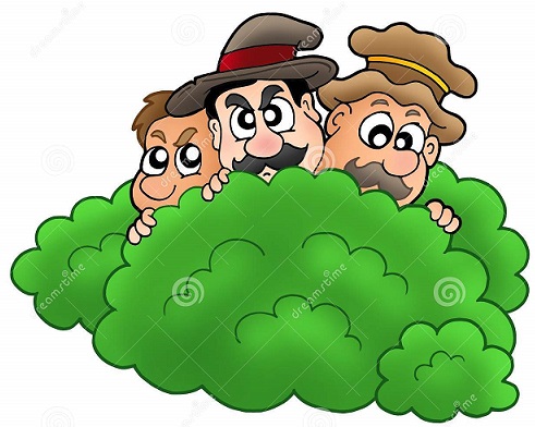 cartoon-robbers-behind-bush-10136574
