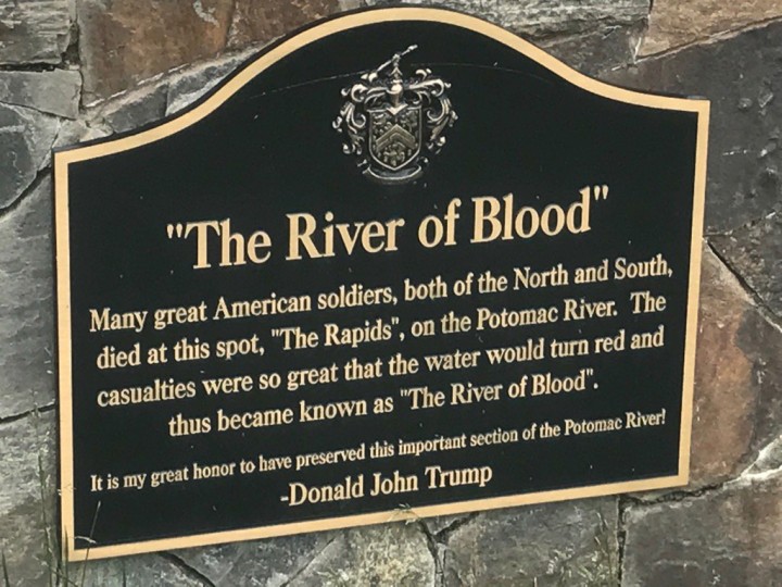plaque