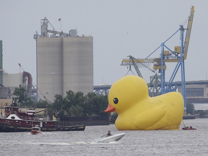 duck-b8fa11f4c9bfa39a18104a65aed716f62a2f9fa8-s700-c85