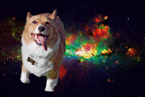 tumblr_lxporaXIOY1r4nfwdo1_500