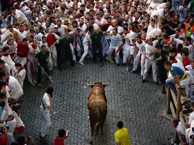 Bull at pamplona