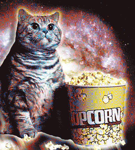 cat popcorn
