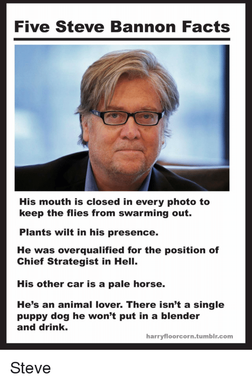 five-steve-bannon-facts-mouth-is-closed-in-every-photo-7589374