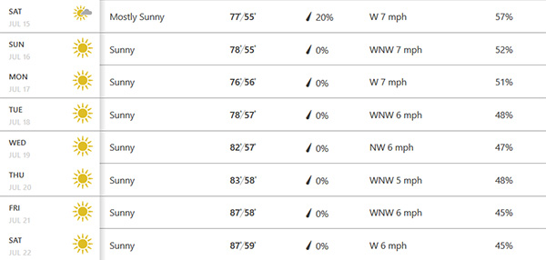 forecast
