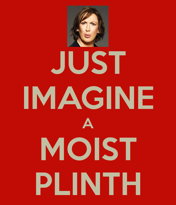 just-imagine-a-moist-plinth