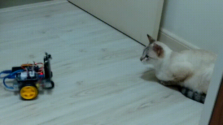stalkbot