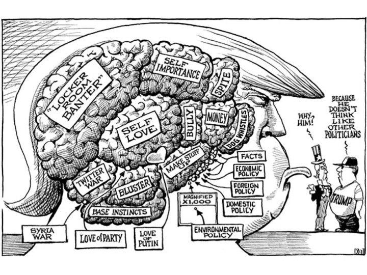 trump brain