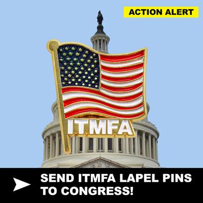 itmfa-congresspins