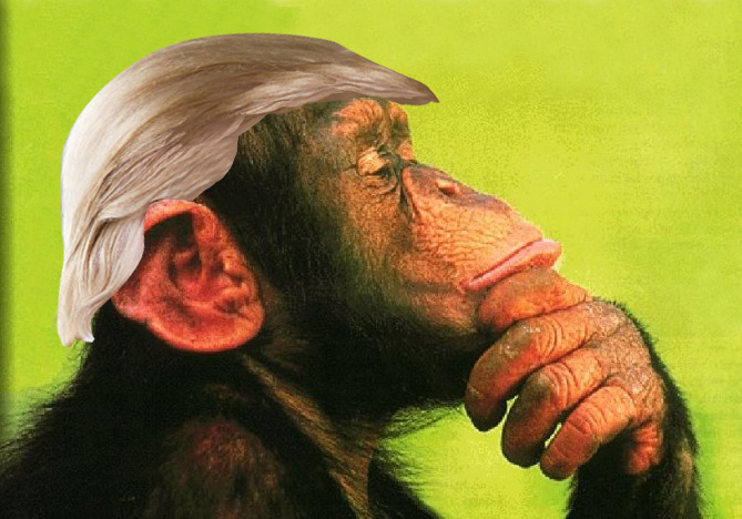 Trumpanzee-thinking
