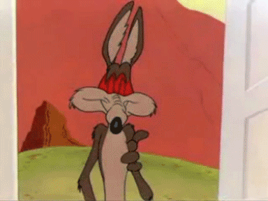 coyote