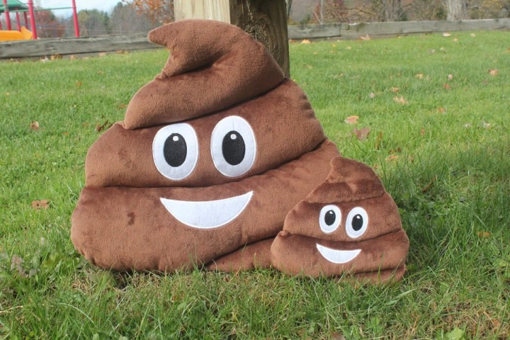 poop pillow