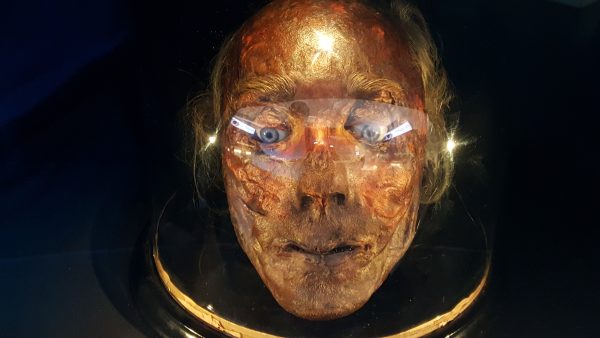 bentham-ucl-octagon-head-01-600x338