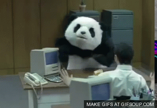 angry-panda-o