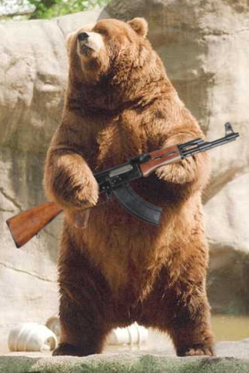 armed bears
