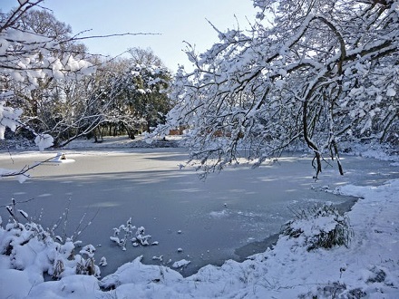 Frozen_pond