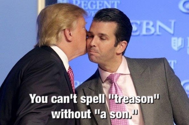 trump jr treason