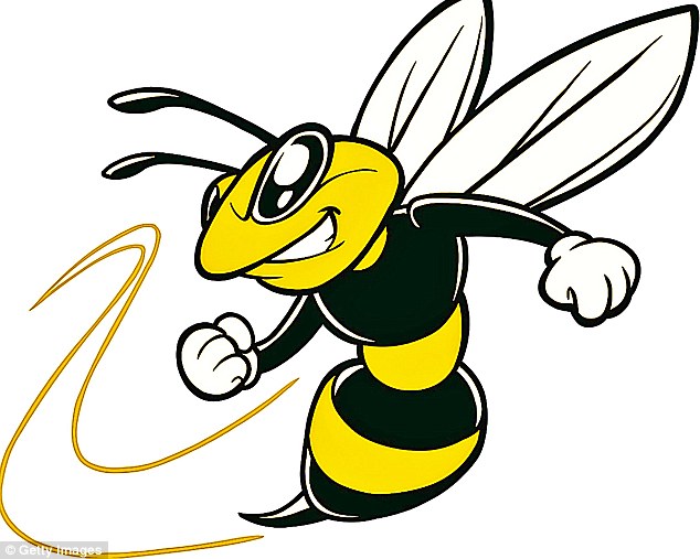 1410221967245_Image_galleryImage_Bee_Team_Mascot