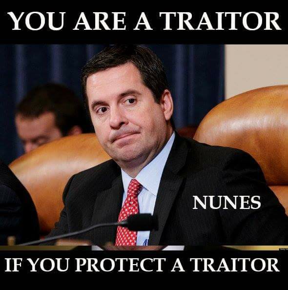You are a traitor if you protect a traitor - Devin Nunes