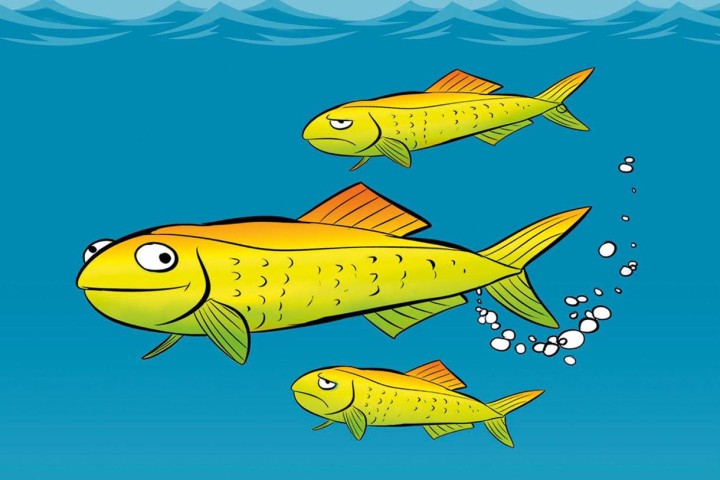fishfart