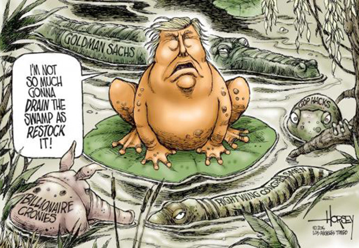 horsey-trump-swamp