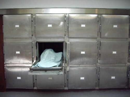 kelly freezer