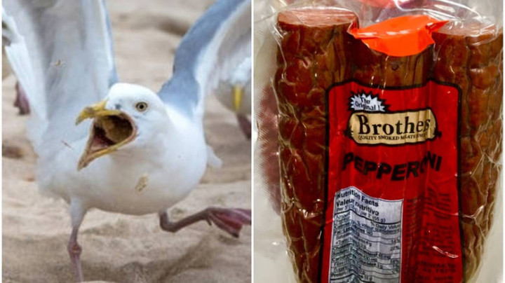seagulls-pepperoni