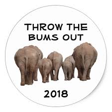 Throw the bums out 2018