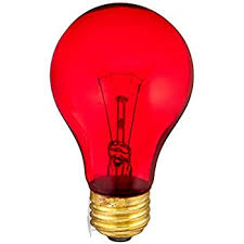 bulb