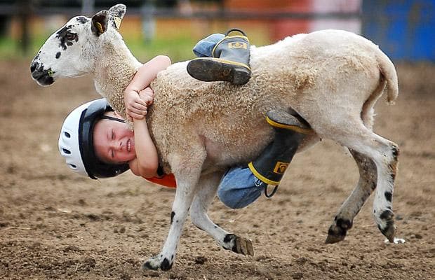 goat-rodeo_1448730i