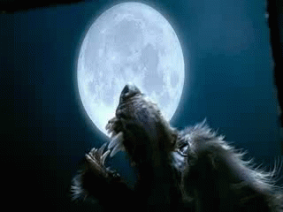 wolf man