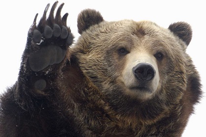 griz