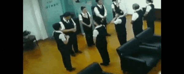 gif-snake-falling-from-ceiling_600