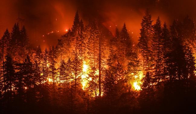 4.12.18 Particulate Matter From California Wildfires Linked to Cardiovascular and Cerebrovascular Events