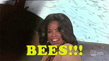 oprahbee