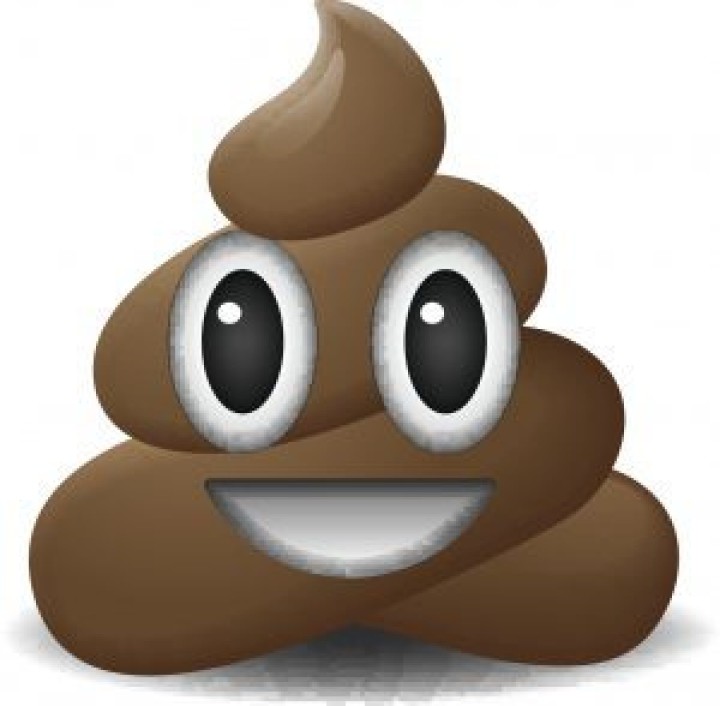 Poop-Emoji-300x294-1